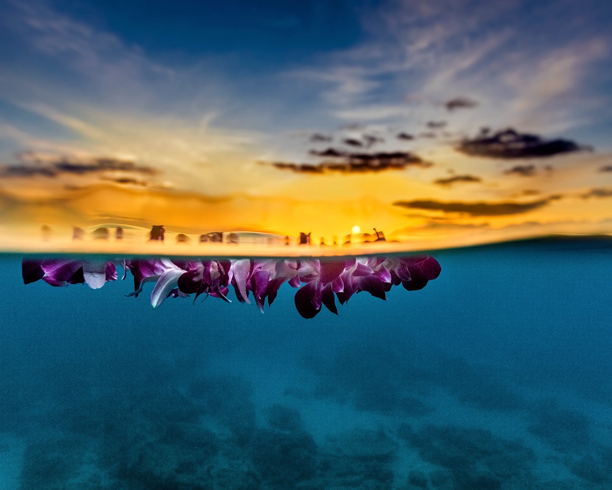 Purple plumeria lei floating in the ocean with the sun setting toward the blue ocean - Created in Honor of Aurora Moreno Flores