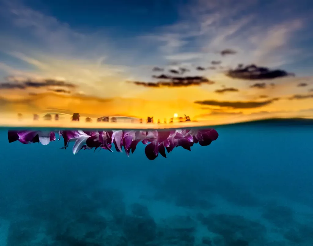 Purple lei floating in the middle of the ocean in Hawaii with the sun setting below the horizon.