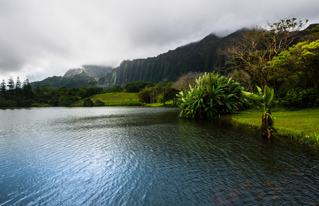 The Land and Lake at Ho'omaluhia Botanical Gardens in Hawaii