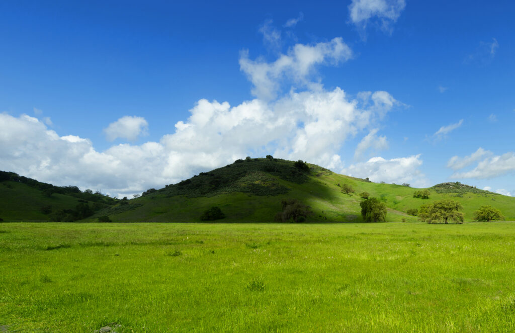 A shadow casting a wave on lush green grass in Coyote Open Space Preserve