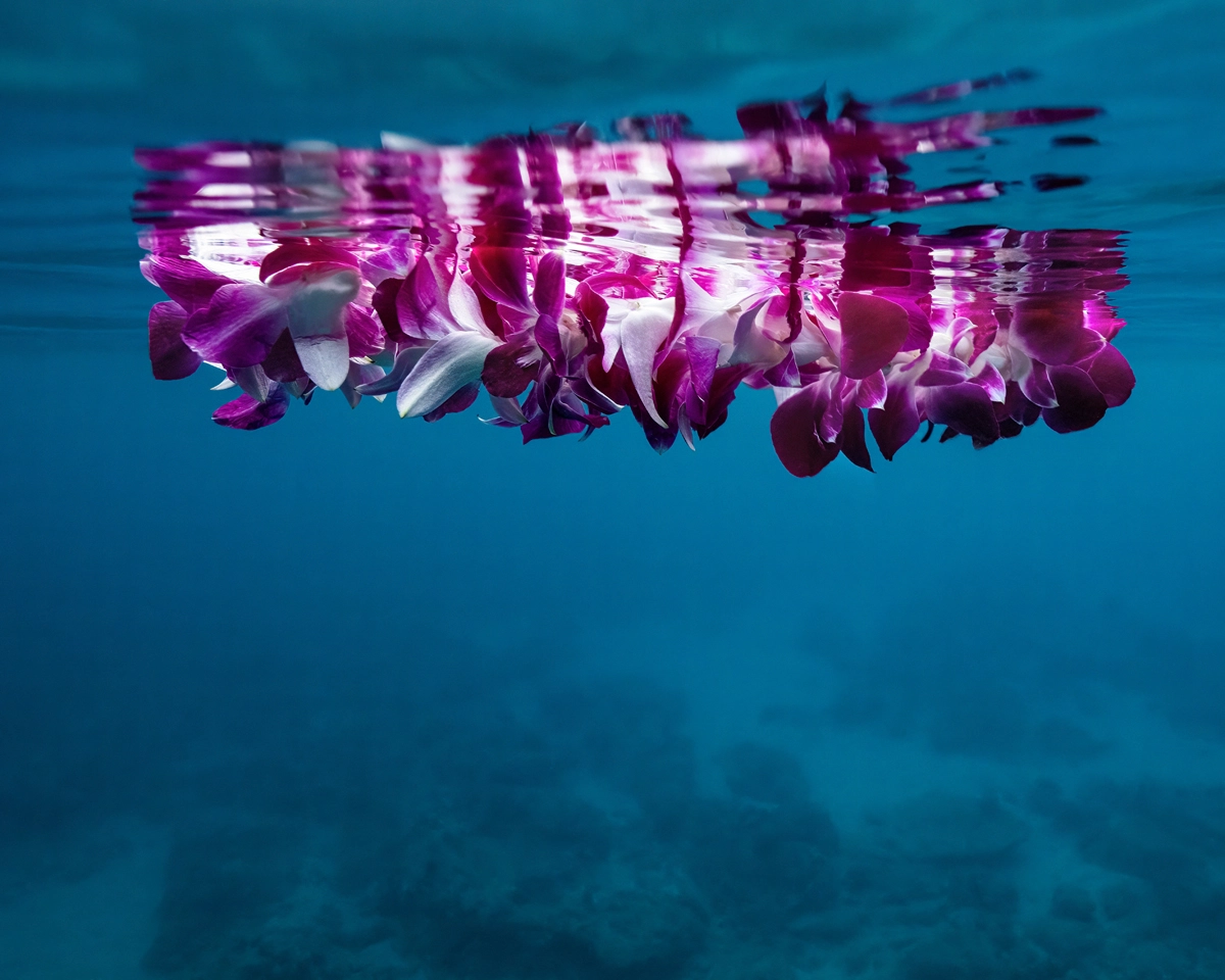 "Reflective Memories"- Image of purple orchid lei floating in the ocean by award-winning Honolulu Photographer Raymond Enriquez