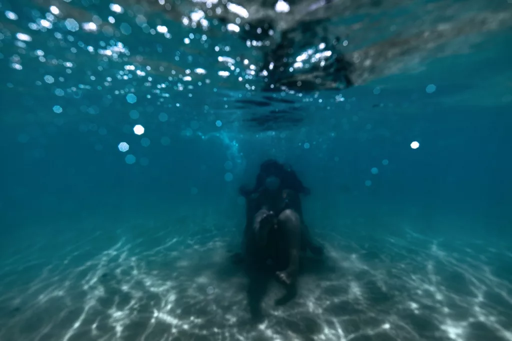 Submersed underwater during covid-19 shutdown
