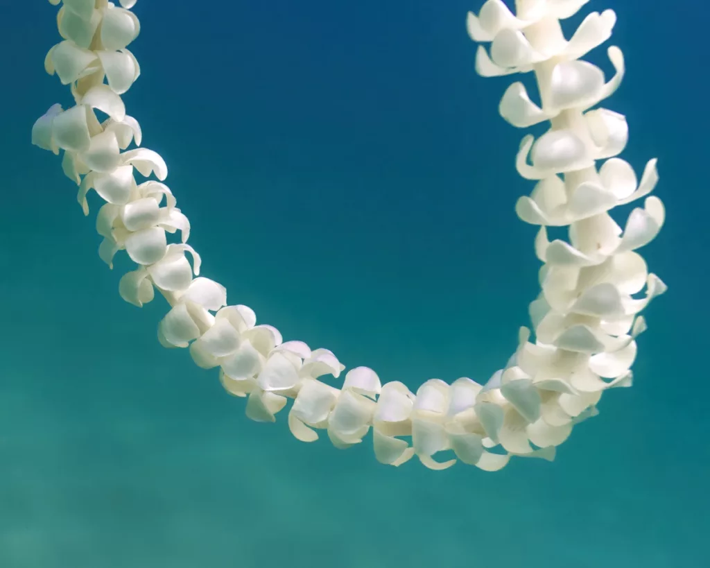 "Lei of the Sea"- Puakinikini Lei Floating in the ocean and showcased on Ocean Leis Gallery Slideshow