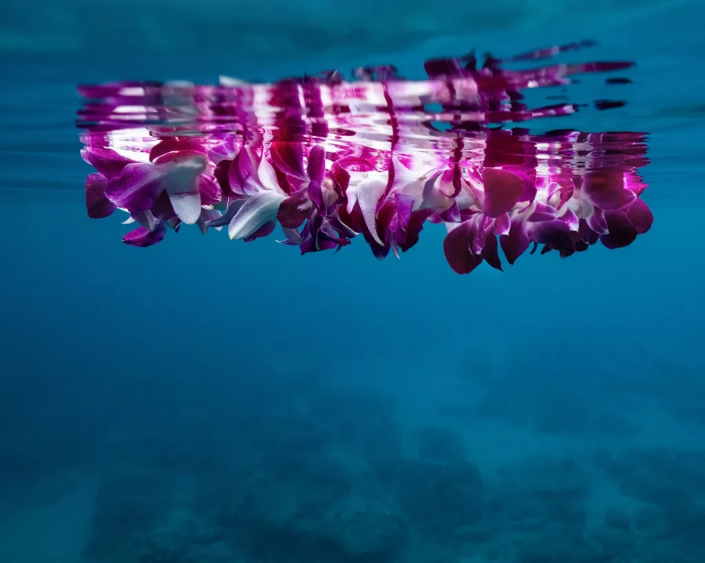 Vibrant Purple Orchid Lei floating just below the surface of the Pacific Ocean created for Ocean Leis Project - Honolulu, Photographer, Raymond Enriquez Photography